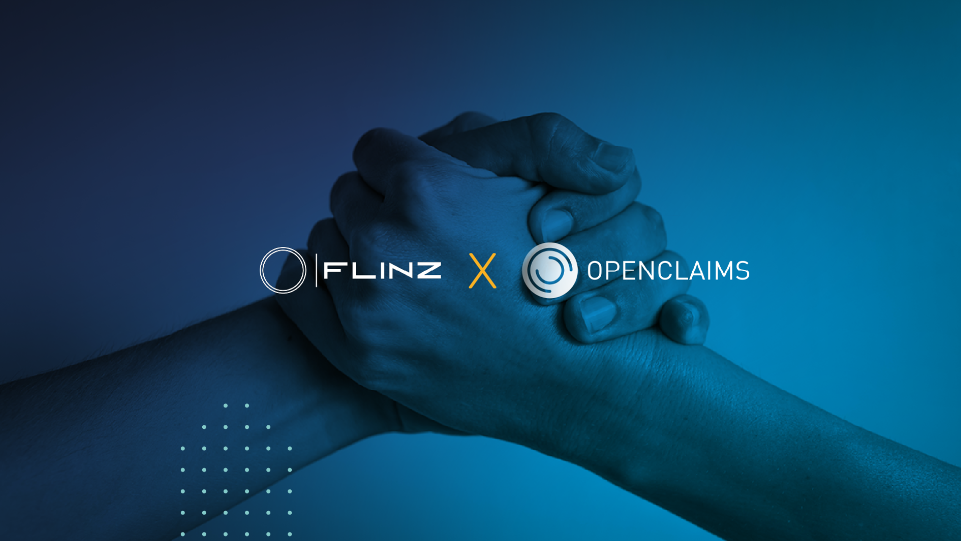 Flinz press release (Website 2025)